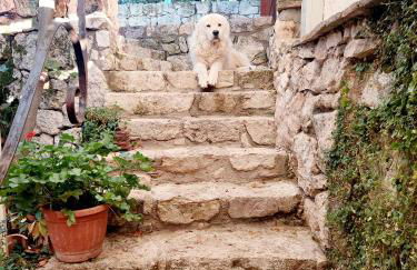 Agriturismo Tholos - Photo 79