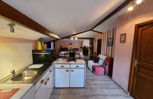 Gîte confortable à Plombières-les-Bains, proche thermes, nature et ski - FR-1-589-194 - Foto 8