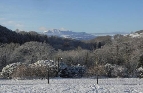 Y Bwythyn at Henfaes - Foto 12