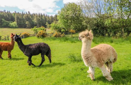 Moorgair Cottage - Foto 27