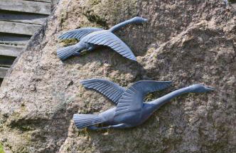 Theodor-Storm-Str-6-Wohnung-5 - Foto 9