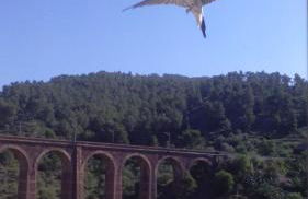 Cal Camilo - Photo 26