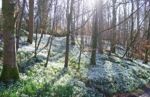 The Shack, Cally Avenue, Gatehouse of Fleet, Dumfries and Galloway, DG7 2 DH - Foto 8