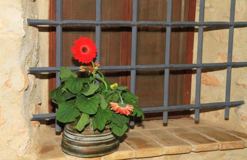 Alojamientos Rurales Cortijo Las Golondrinas - Foto 16