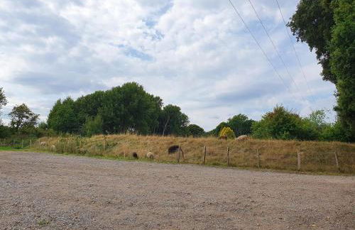 Glyndley Manor Cottages - Foto 44