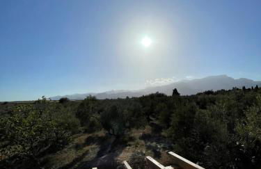 La Plana “alojamiento turístico vacacional” - Foto 41