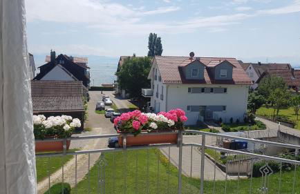 Birkhofer See genießen - Haus Seehang - Foto 63