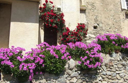 Vos vacances à Lama France Corse - Foto 17