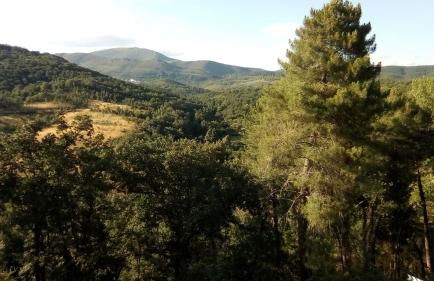 Apartamentos Condado de Miranda - Foto 27