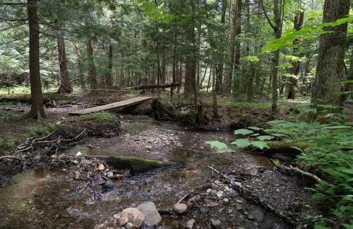 Three Cabins - Pet Friendly & Hot Tub - Foto 24