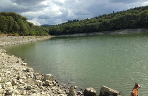 FAETOLE typical Tuscan country house near FLORENCE - Foto 38
