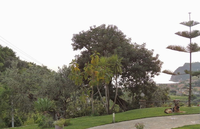 That's Amore Cilento Country House - Foto 24