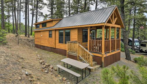 Pagosa Springs Tiny Cabin Fish, Hike, Ski and Soak! - Foto 3