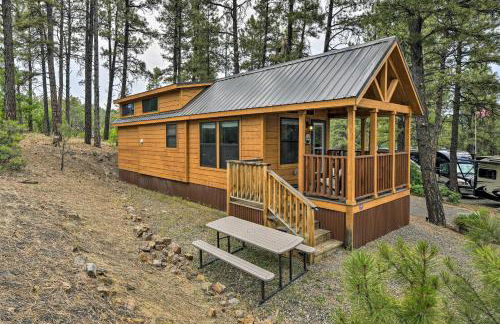 Pagosa Springs Tiny Cabin Fish, Hike, Ski and Soak! - Foto 3