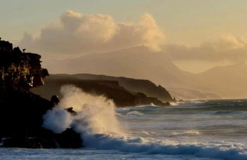 Ocean House - Photo 34