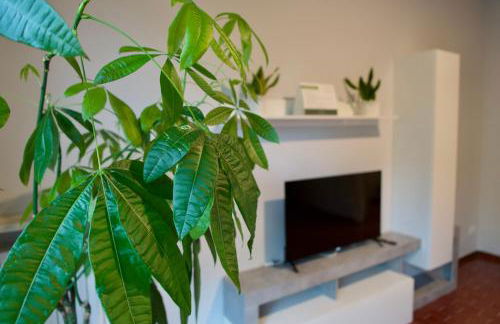 Adua Residence - Foto 42