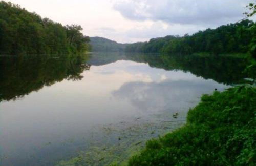 Hot Tub & Fire Pit - Galena Spring Escape - Foto 9