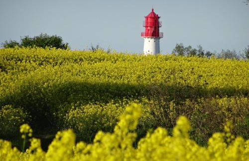 Apartment Geltinger Bucht by Interhome - Foto 35