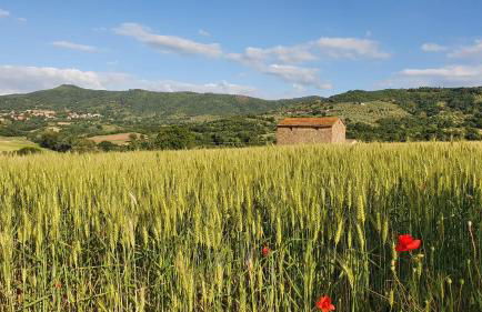 Vacanze Sant Andrea - Foto 71