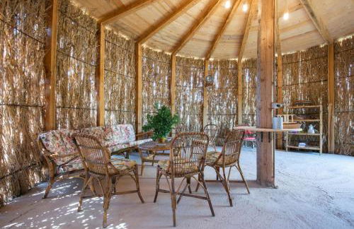 Fonte Flavia - Foto 24