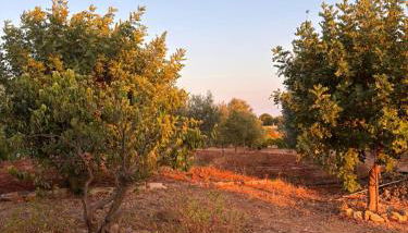 Domus Veretum - Foto 4