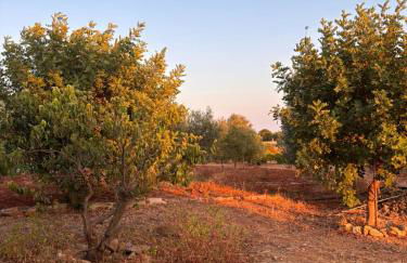 Domus Veretum - Foto 4