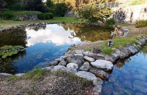 Charming house in Povoa de Lanhoso with shared pool - Foto 38