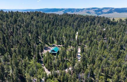 Dog Friendly Mountain Cabin with Hot Tub - Foto 37