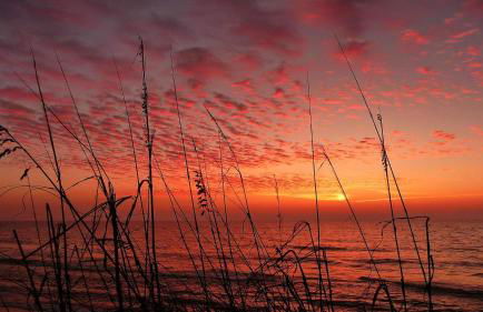 The Shores 103 - Foto 32