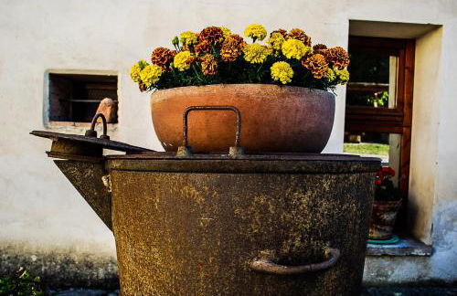 Bio-Agriturismo La Ginestra - Foto 27