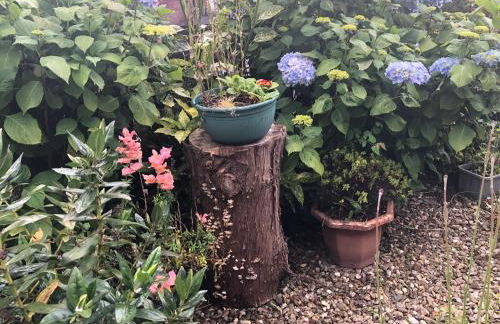 PondeROSEa Cottage Free Gated Parking M1 & City location, wood stove - Foto 4