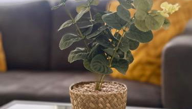 Stilvolle Wohnung in Sandhausen - Foto 4