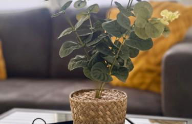 Stilvolle Wohnung in Sandhausen - Foto 4