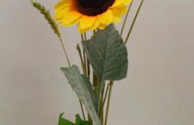 La casa di Trilly - Foto 9