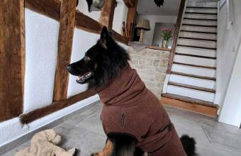 Altes Grabenhöfchen - 5 Sterne Ferienhaus - Foto 14