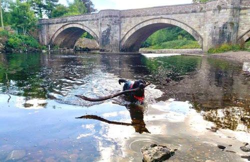 The Old Barn - Photo 18