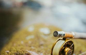 Maison Crouzande - Foto 71