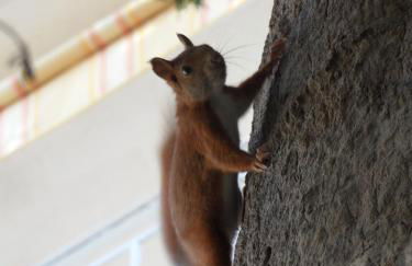 Residence Veles Plage - Foto 25