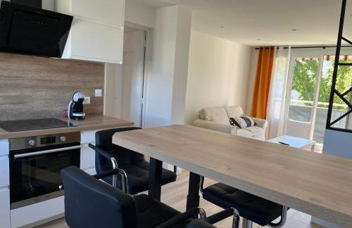 Superbe 3 chambres proche lyon et eurexpo parking - Foto 1