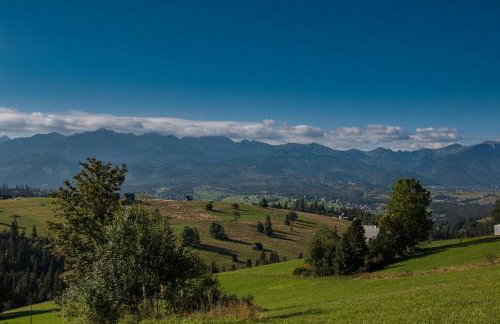 Domki u Skowyrów - Photo 45
