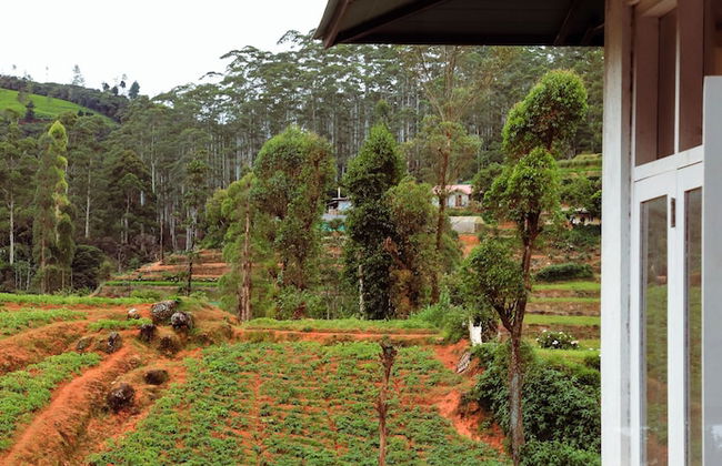 Shannon Rise Holiday Home - Foto 24