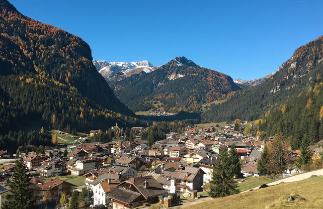 Cesa Micheluzzi (CZI712) - Foto 30