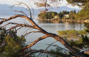 Apartment Vanda - Photo 9