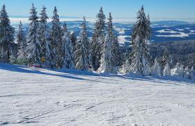 Ferienhaus Ritzmais - Foto 41