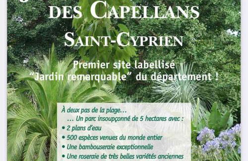 Golf Saint Cyprien ground floor 2 bedrooms Apartment with terrace - Photo 43