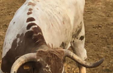 Molino Felix Alojamiento Rurales - Foto 59