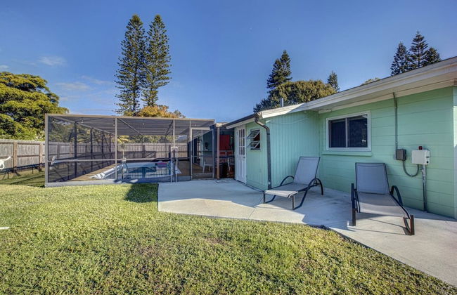 Happy Gecko - Foto 33