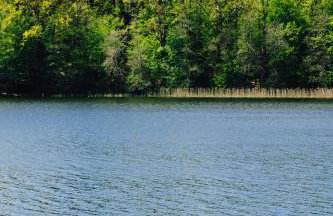 Apartamenty Mazurskie Klimaty (Cud Natury) - Foto 79