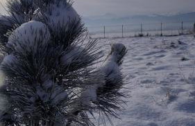 Dom w górach - Foto 3