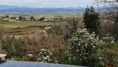 La romarine - Foto 4